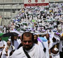 'Hajj in Mecca started under close supervision'