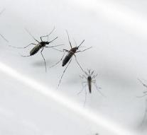 Huge increase chikungunya in Brazil
