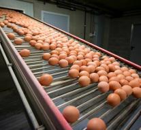 Hundreds of thousands of fipronil eggs in GB