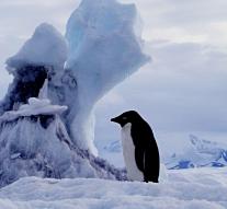 Iceberg threatens penguin colony in Antarctica