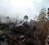'Indonesia forest fires cost 100,000 lives'