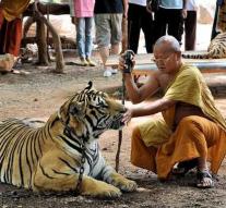 Infamous Thai tiger temple open again