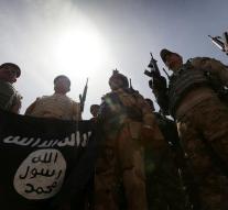 'International troops IS boss kill Iraq '