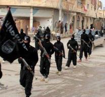 IS digs into 'capital' Raqqa