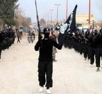 'IS executes 15 members in Raqqa'