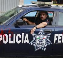 Italian mafia ringleader arrested in Mexico