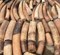 Ivory Coast intercepts tusks elephants