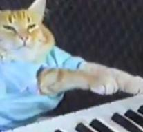 Keyboardcat YouTube died