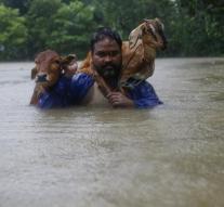 Kill and wounded by emergency weather in Asia