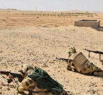 Kill in fighting army and militants Sinai