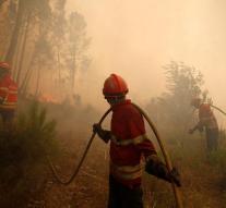 Largest forest fires in Portugal under control