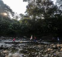 Last FARC rebels in jungle