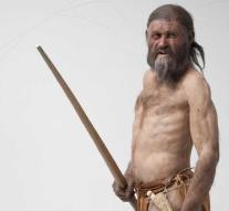 Last meal Ötzi de IJsman: fat meat and wheat