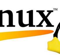 Linux creator Torvalds gave almost