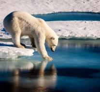 'Lot of ice disappears in the Arctic'
