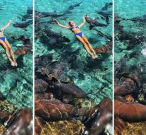 Make a beautiful vacation photo: Instagram model bitten by shark
