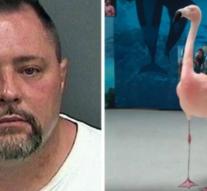 Man (45) kills beloved flamingo