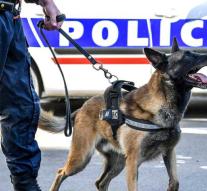 Man stabs three women at French station Mulhouse