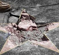 Man sued for demolishing Trump star