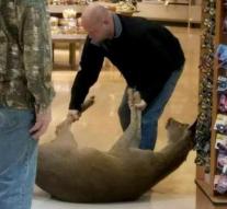 Man trips deer in supermarket