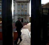 Man with taser packed at Buckingham Palace