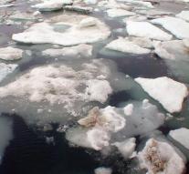 'Melting icebergs brake global warming '