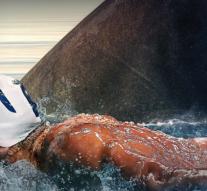 Michael Phelps swims against white shark