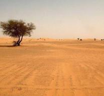 Migrants come from the thirst in Sahara