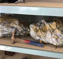 Miner finds largest gold nugget ever: 93.5 kilos