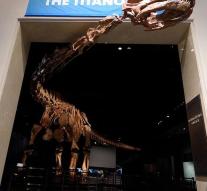Museum too small for the Titanosaurus