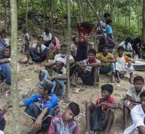 Myanmar: Flying Rohingya may return
