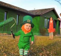 Naughty elf on St. Patrick's Day
