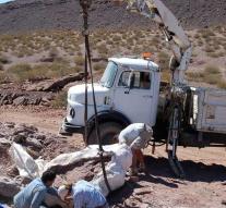 New dinosaur species found in Argentina