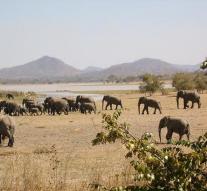 New home for hundreds of elephants in Africa