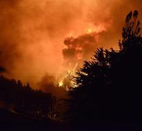 New Zealand forest fire under control