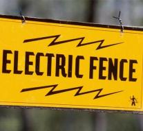 New Zealand gives heart shock with electric fence
