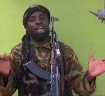 Nigerian army kills Boko Haram fighters