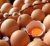 NVWA investigates contaminated eggs