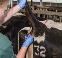 NVWA trains veterinarians because of Brexit