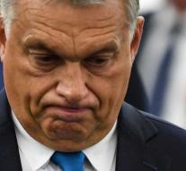 Orbán the bitten dog
