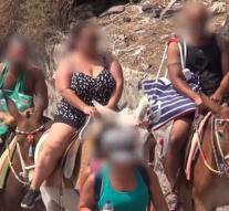 Overweight tourists banished from Greek donkey