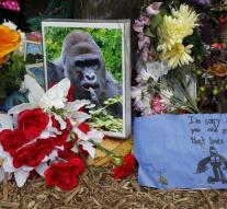 Parents do not persecuted for gorilla incident