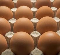 Paris explores from precautionary eggs