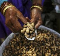 Peanut Shortage hunts price up