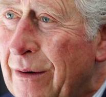 Pedant side of Prince Charles highlighted