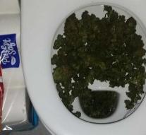 Police find toilet with hemp