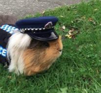 Police put in guinea pigs