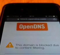 poorly secured domain names in Netherlands