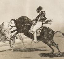 Precious etchings of Goya discovered