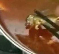 Pregnant woman is touching dead rat in soup